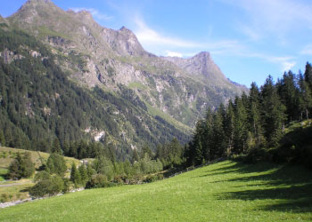 pension haus bödele umgebung zimmer pitztal